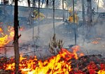 Combate a incêndios florestais
